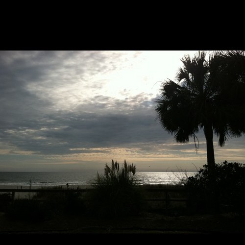 ChristineRentsc's profile picture. 