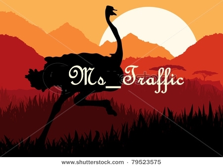 ms_traffic's profile picture. She Twits Traffic Updates