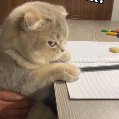 mmdairyy's profile picture. 