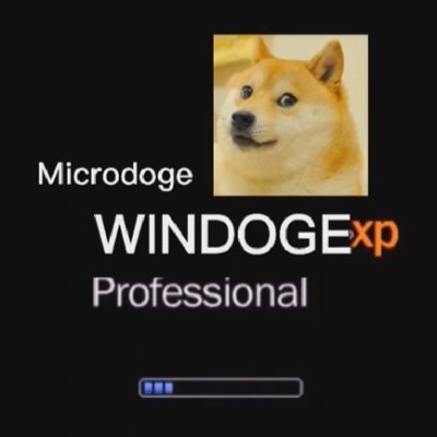 WinDogeElon's profile picture. My hard drive's reaching critical capacity – prepare for an influx of 1000x activity!