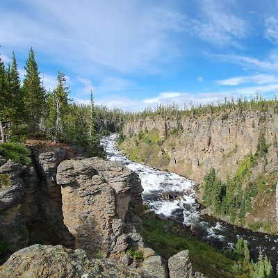 Shaik_binDawood's profile picture. 