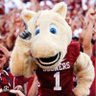 sooneroutsider's profile picture. OU super fan/realist. Cynical skeptic.