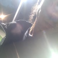 The Judge. (@userid18261812) 's Twitter Profile Photo The Judge. (@userid18261812) 's Twitter Profile Photo