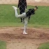 Anthony Picillo (@anthonypicillo1) 's Twitter Profile