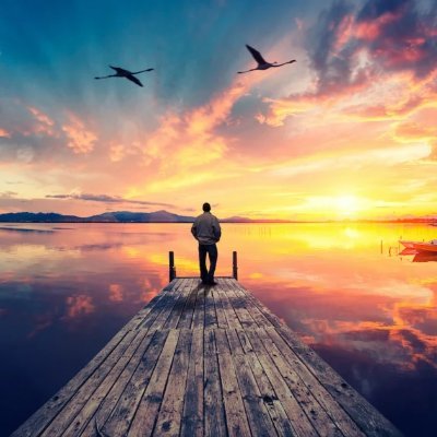 Ayoub_Zamos's profile picture. 