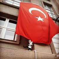 FurkanAslan (@furkanaslan7106) 's Twitter Profile