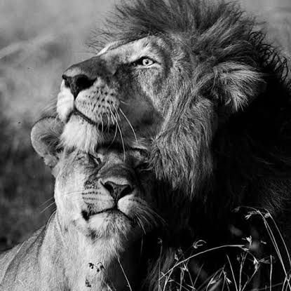 ZolaZee_'s profile picture. PG(CA) 🥵 || 2 x graduate 🤓 || Sporty || Friendly banter || ✝️ || It will end in CA(SA) 😉 ||