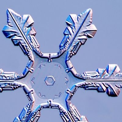 RJ7339's profile picture. image of an ice crystal . . . 

our lives are brief . . .
