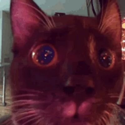 iCatKits's profile picture. 🇱🇧. Laflame frvr 🔥