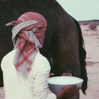 m7md (@muhammadal96) 's Twitter Profile
