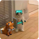 deniz bilgen - @deniz_bilg45598 - Twitter