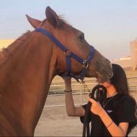 هاله العويد (@haawoi900) Twitter profile photo
