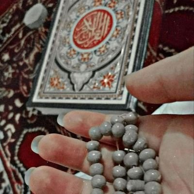 AlnwayaHsn43538's profile picture. 