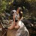 Erica Jane (@_erica_jane) Twitter profile photo Erica Jane (@_erica_jane) Twitter profile photo