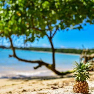 MariamI56935559's profile picture. 