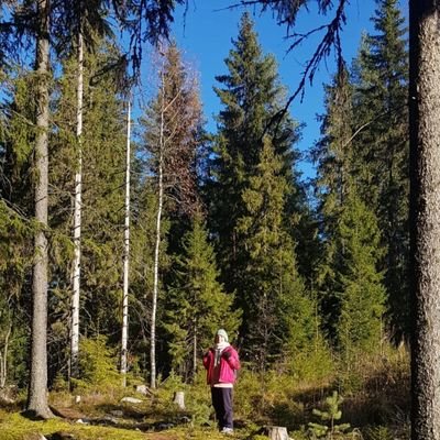 Eukaryote, Chordate, Mammal, Human. 
PhD student at @helsinkiuni, working on #wildlifeconservation🐾  in relation to the conditions of #borealforests 🌲🌲🌲