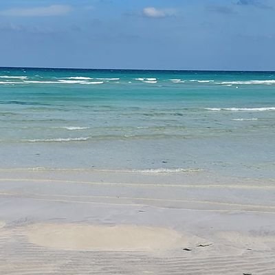 gimjaeeun556's profile picture. 