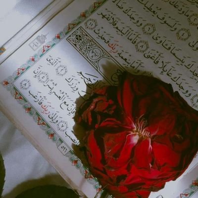 AlhzyntAlj26494's profile picture. 