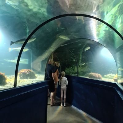 Heuvelmans13's profile picture. Gepensioneerde die graag op de hoogte blijft.