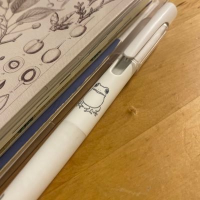 egg100bng89's profile picture. 物欲アカウント／オタク😀