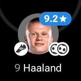 hahahahaaland09's profile picture. @ErlingHaaland 💙