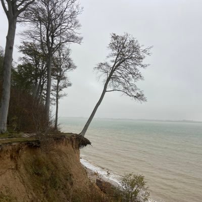 brenda_brain654's profile picture. I vote. I care. No more injustice, corruption, greed.,. we are smarter than they think we are. 💪🏽🙏❤️🇵🇸✌🏼