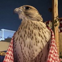 🥀💙 (@ass92244vip) Twitter profile photo