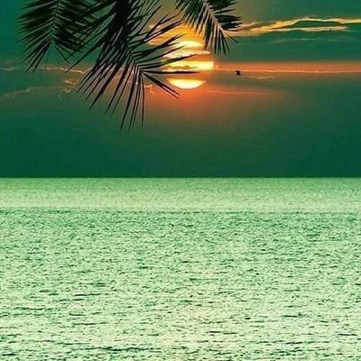 Salehhuseen3's profile picture. ‏‏‏‏‏‏‏‏‏ماجستير في أدارة عمليات التصنيع pmm..جامعة تيسايد.بريطانيا.
مهندس بشركة الخليج العربي للنفط