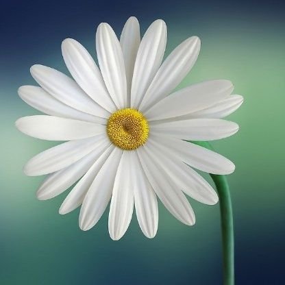 Shanmug62435635's profile picture. 