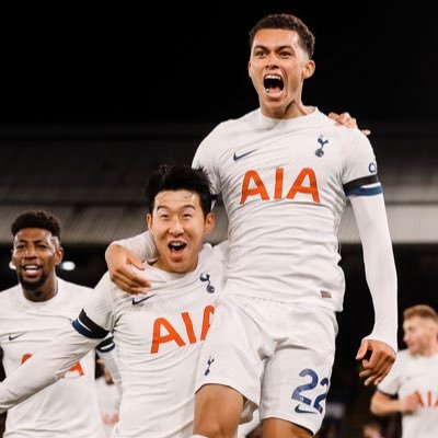 NiallDunwoody's profile picture. Big Spurs fan. seen lots of moderate teams over the years. but all run/ruined by Levy in the last 20 years. 😀🍻⚽️🏏 COYS