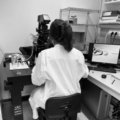 Noelia8rm's profile picture. 