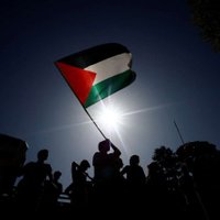 starry_rayy 🇵🇸 (@rayydzn) 's Twitter Profile Photo