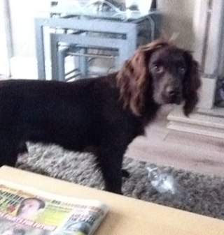 stewoods2's profile picture. 