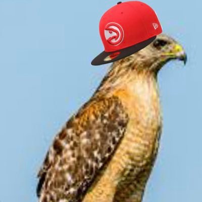 Hawksgoated Profile Picture