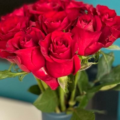 majdoleen_turki's profile picture. 