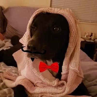 09Boonedoggel's profile picture. 