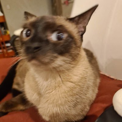 notTribbiani_'s profile picture. Some of us are told at eighteen, some of us are told at forty, but we're all told.