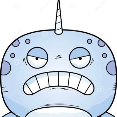 Narwhal6Actual Profile Picture