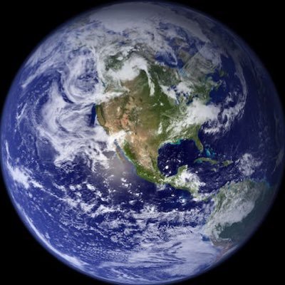 ricciandrea2004's profile picture. 