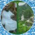 حسن الفيفي (@halsatry4) Twitter profile photo حسن الفيفي (@halsatry4) Twitter profile photo