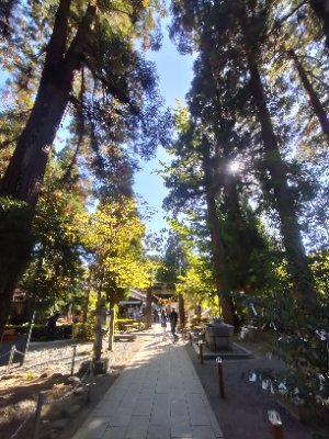 v_vs1m's profile picture. 