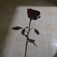 غُفران🌵. (@nathnq12) 's Twitter Profile