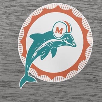 🇨🇦 Die-hard Dolphins fan #GoFins Yankees #RepBX