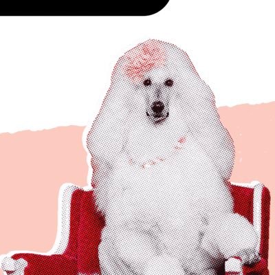 ﾂﾞさんのプロフィール画像