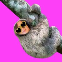 skeptical sloth 🦥(@skepticalslothh) 's Twitter Profile Photo