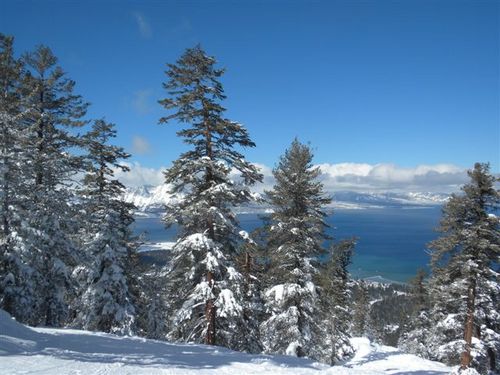 taxsubjects's profile picture. Lake Tahoe.