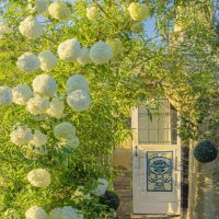 luc π² (@hitstele) 's Twitter Profile Photo