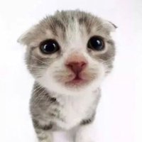 Xander (@xander711973188) 's Twitter Profile