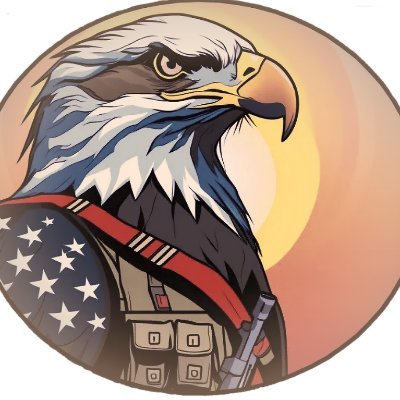 Welcome to the Patriot Coin page. Check out our Website!