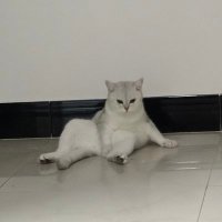 东眠眠睡大觉 (@lottie0107dm) Twitter profile photo